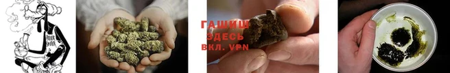 герыч Магас