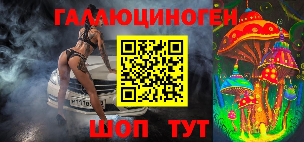 Галлюциногенные грибы Psilocybe Саров