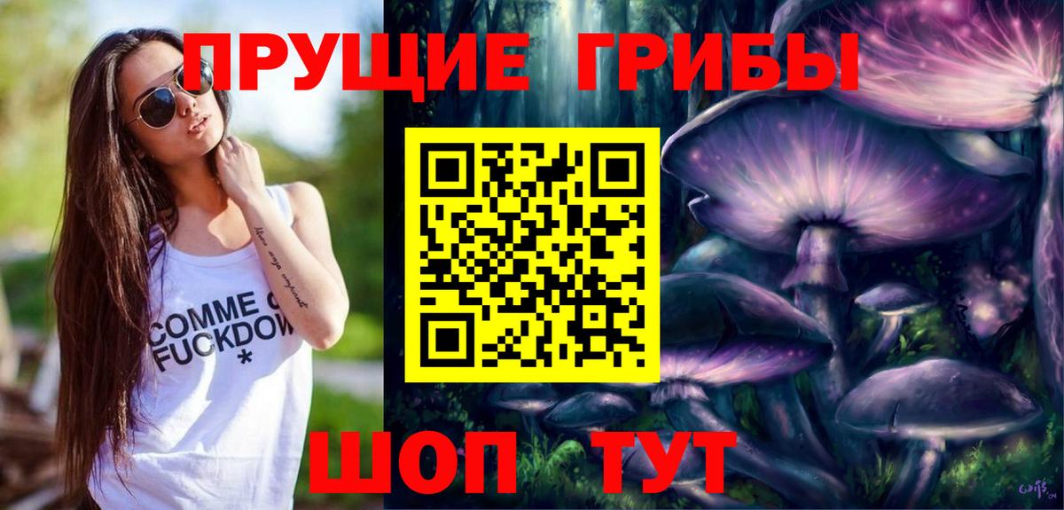 Псилоцибиновые грибы Cubensis  Вход с VPN  Саров  Галлюциногенные грибы Psilocybe 