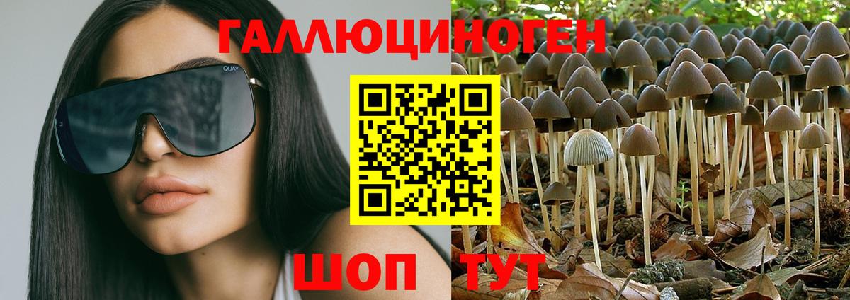 Псилоцибиновые грибы мицелий Саров
