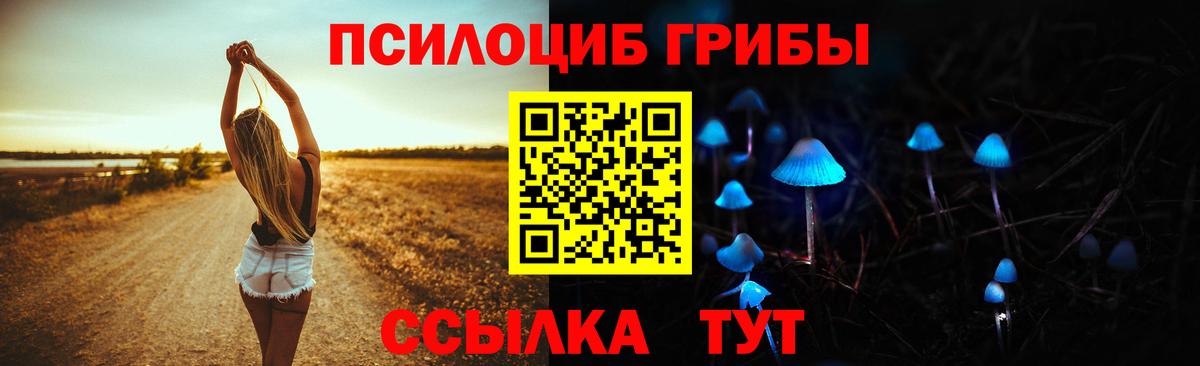 Псилоцибиновые грибы Psilocybine cubensis  Саров  Галлюциногенные грибы прущие грибы 