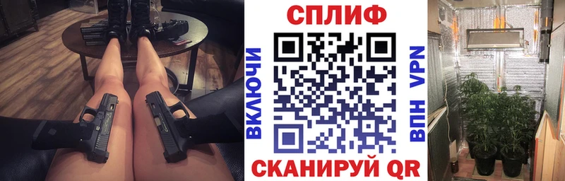 Конопля SATIVA & INDICA  Саров 